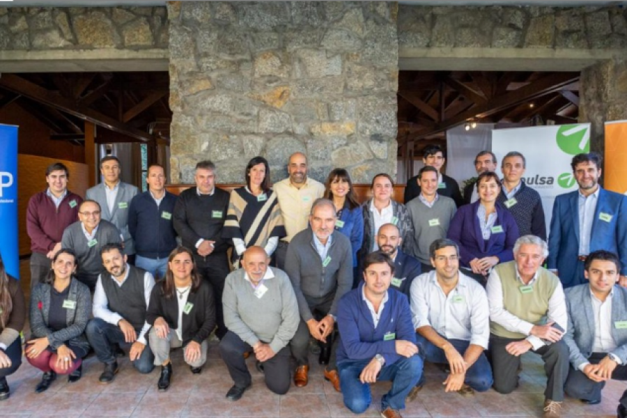 Instituto 3IE: Red de Mentores 3IE USM realiza formación y transferencia metodológica en mentoring para empresarios uruguayos