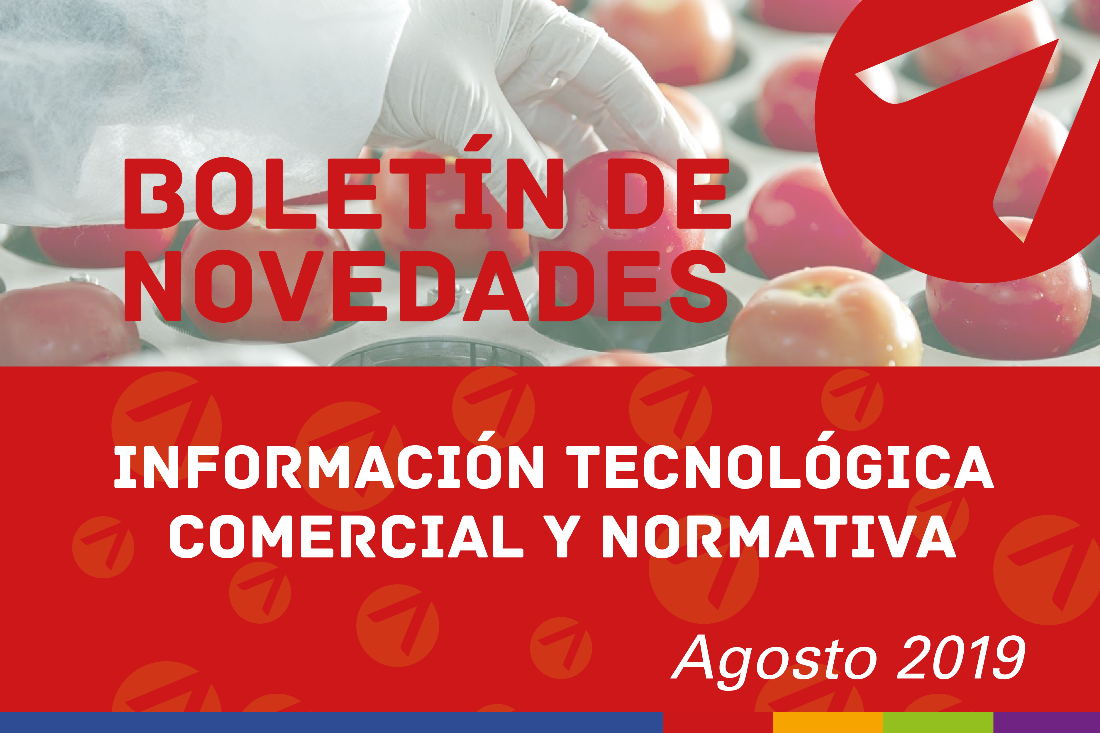Boletín n° 26