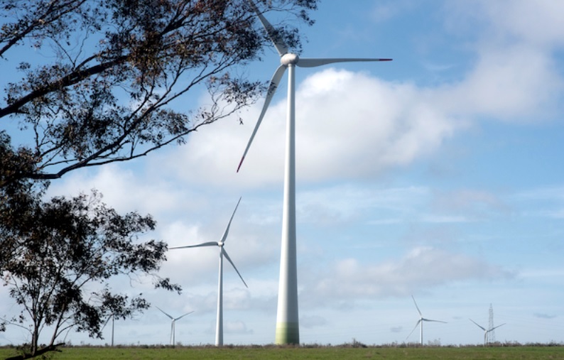 Radio Uruguay: Impulsa Materiales de Construcción sobre el Seminario-Taller de Energías Renovables