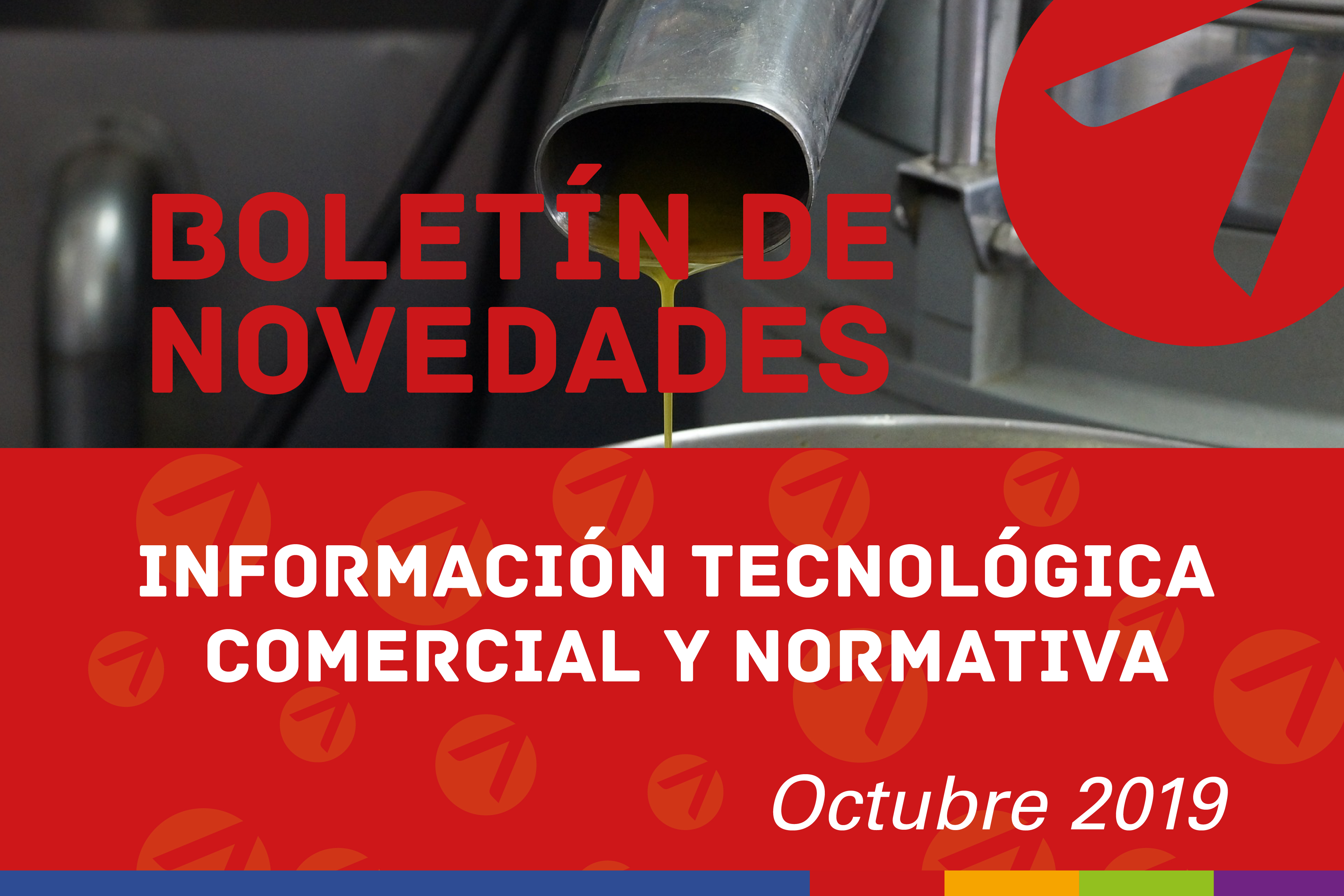 Boletín n° 28