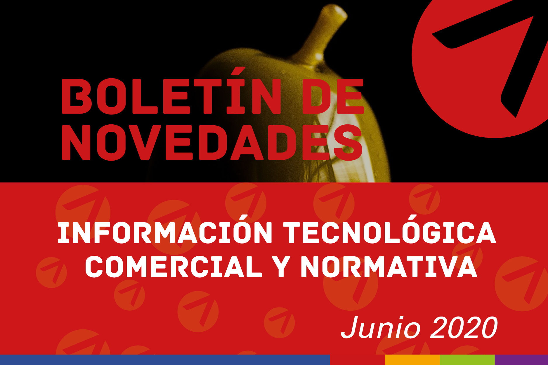 Boletín n° 36