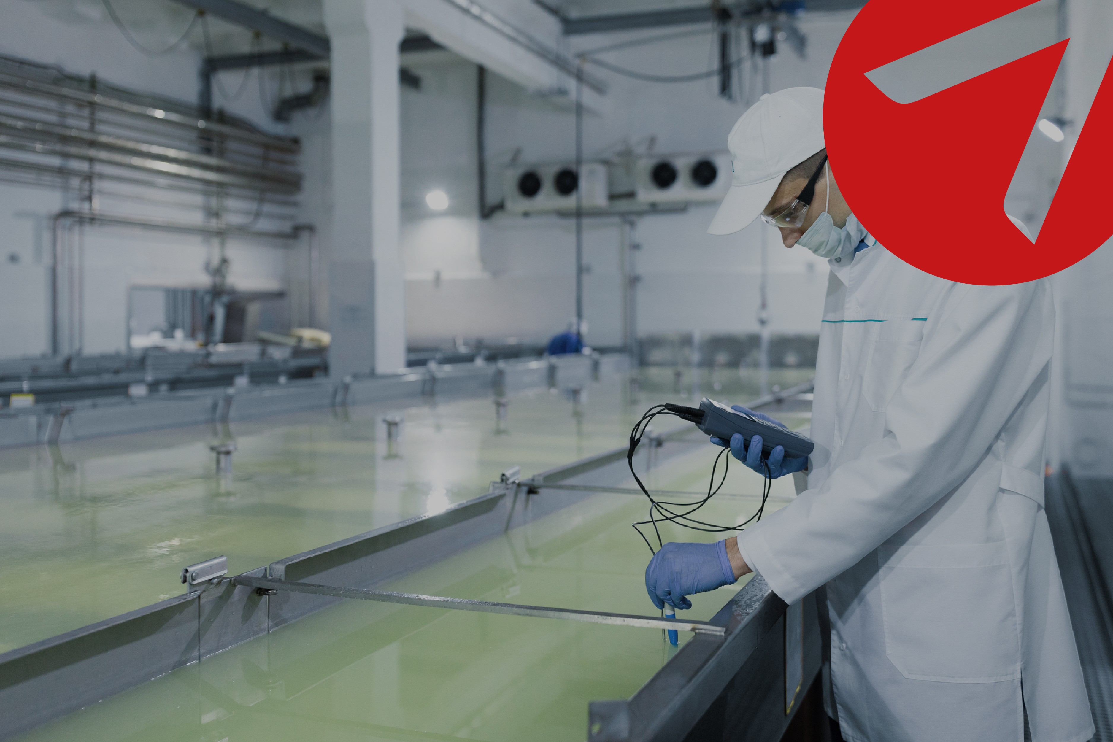 Capacitación virtual: Inocuidad en la industria alimentaria